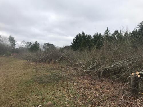 image7 (1)
